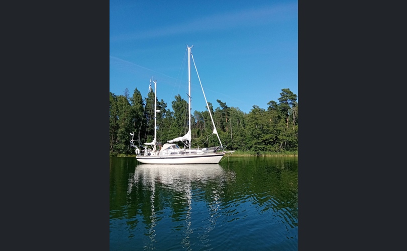 Marina 95 95 ketsi-kuva-7